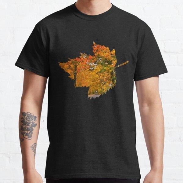 leaf-silhouette-with-autumn-scene-fall-21f778.jpg