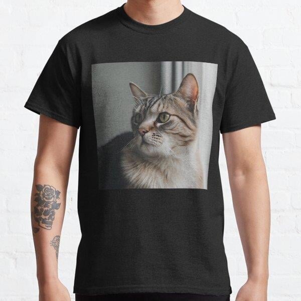 unisex-beautiful-tabby-cat-looking-awa-e62165.jpg