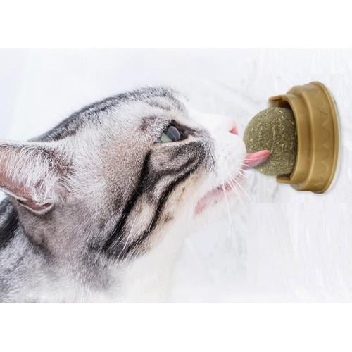 Kedi Nanesi Cat Mint Oyun Topu