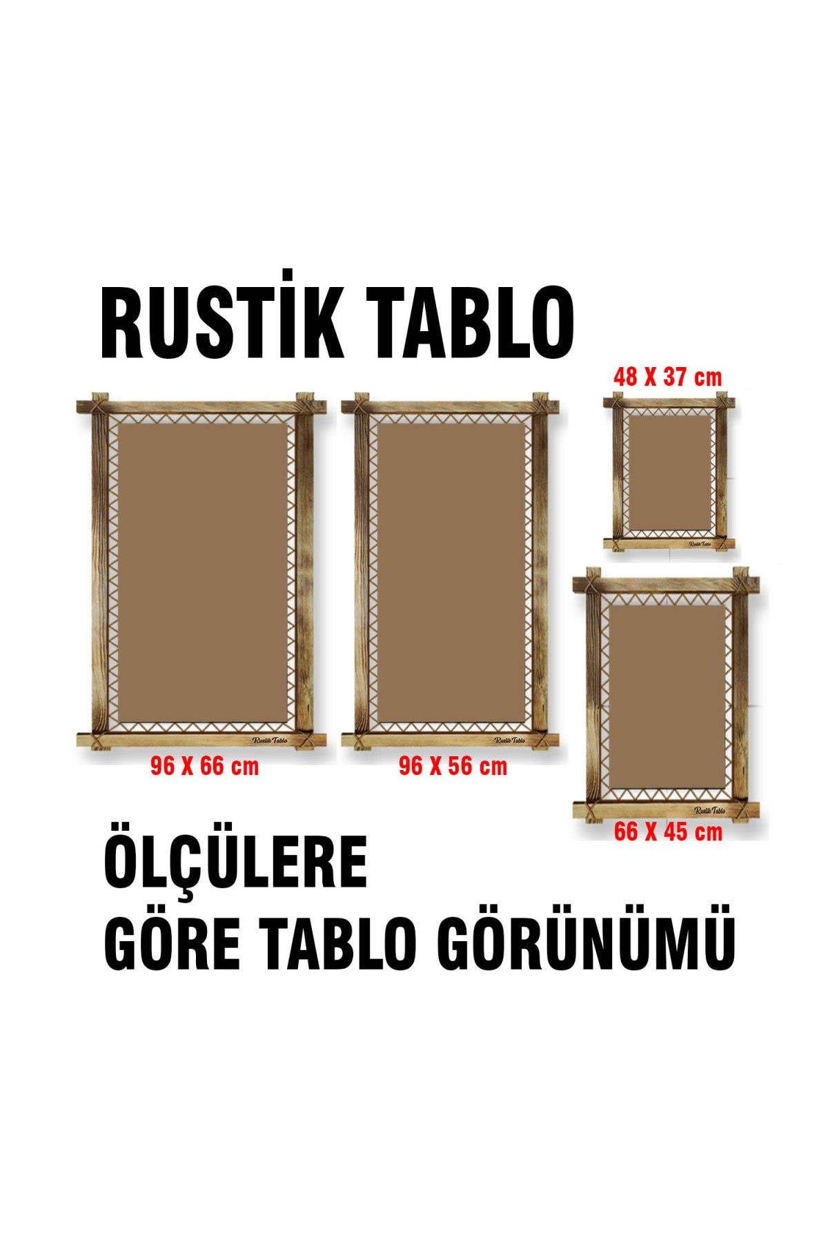RUSTİK IŞIKLI Saksı Kanvas Rustik Tablo O