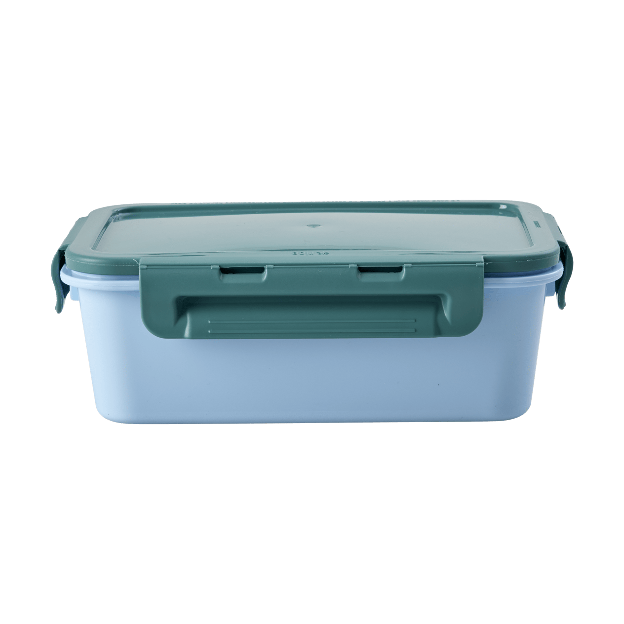Plastik Lunchbox - Yeşil ve Mavi