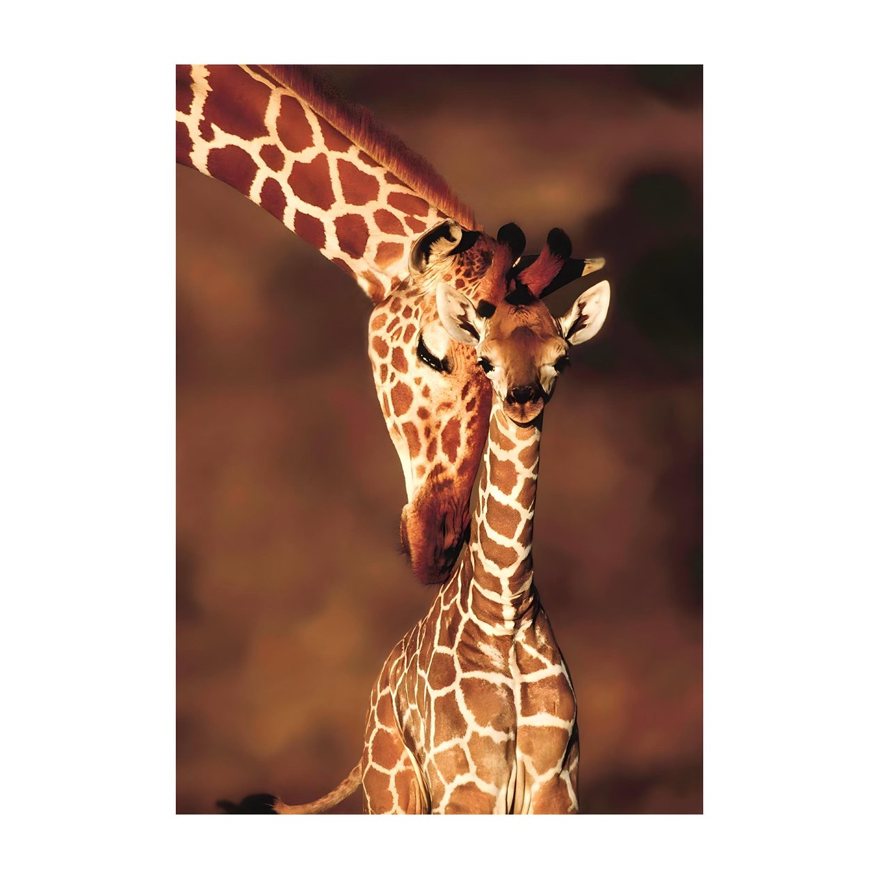 KS GAMES ANIMAL PLANET STUNNING GIRAFFES Diğer KS 10112