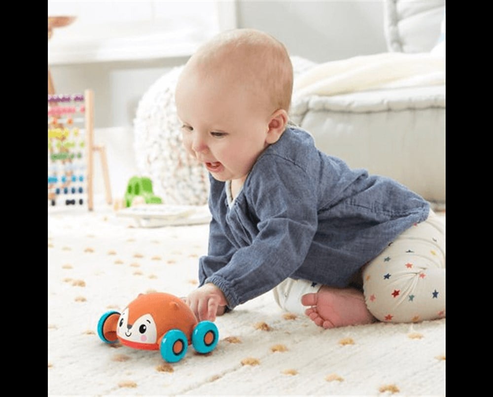 Fisher Price 2si 1 Arada Sevimli Hayvancıklar Tilki Gtj61-Gvl62 Fisher Price GVL62
