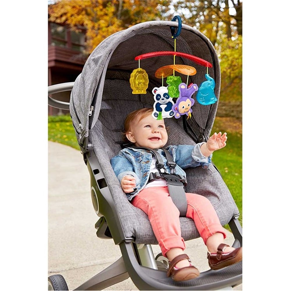 Fisher Price Mini Dönence DYW54