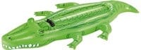 BESTWAY 89 CM TIMSAH BINICI Toystop 41010