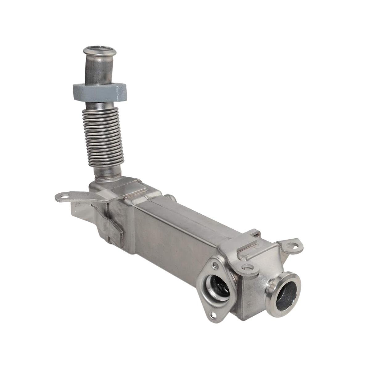 BMW 5 Serisi E39 525d Egr Valfi BEHR
