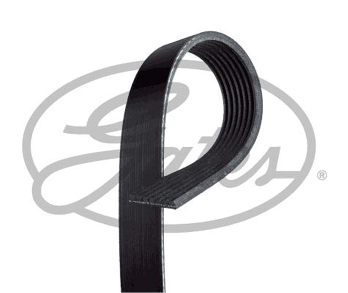 GTS 7PK1675 V KAYISI 
