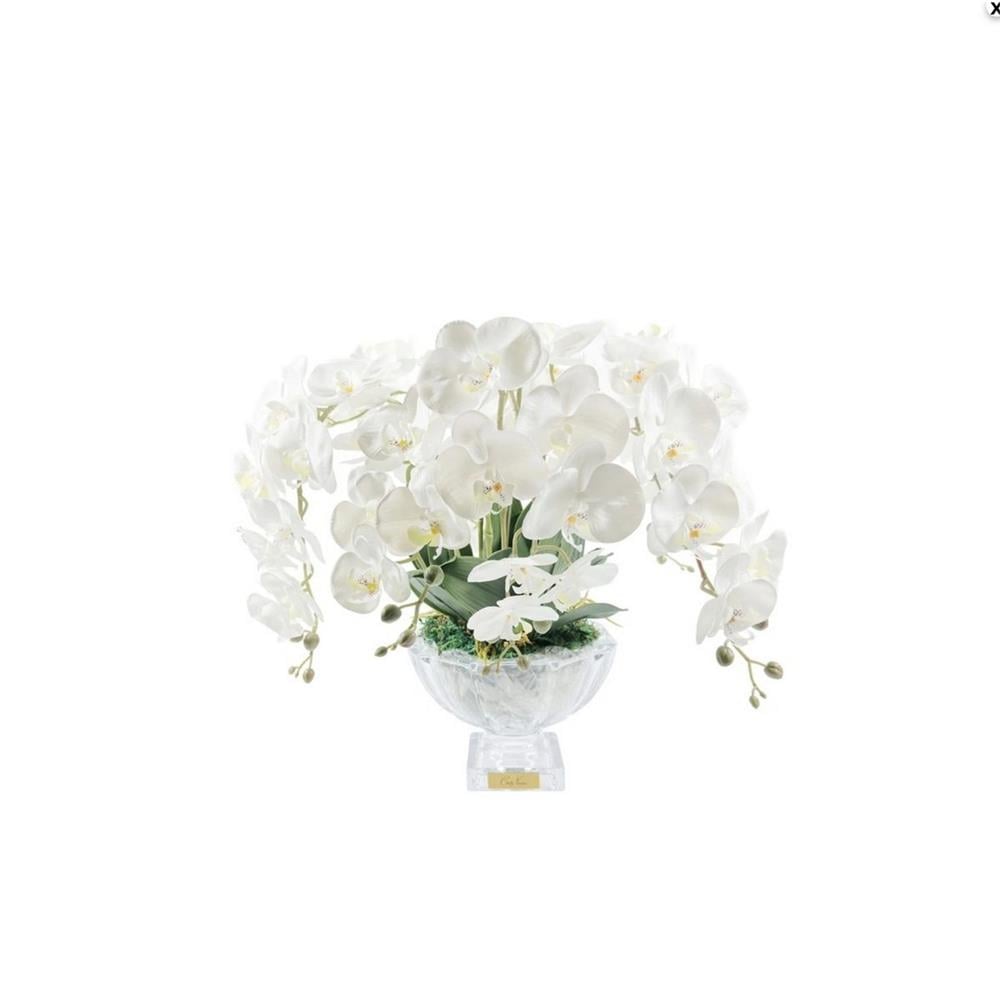 COTENOIRE LUXURY CENTERPIECE BEYAZ ORKİDE KOKU