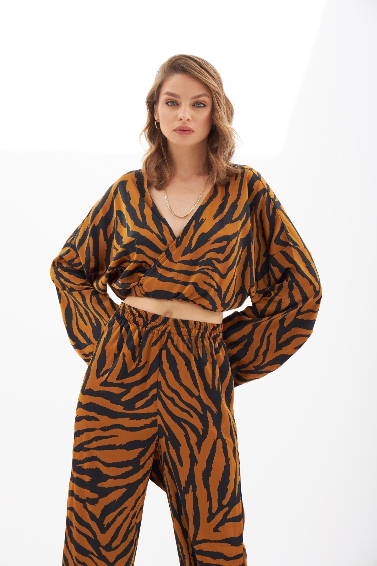 Alexis Crop Kruvaze Zebra Desenli Takım