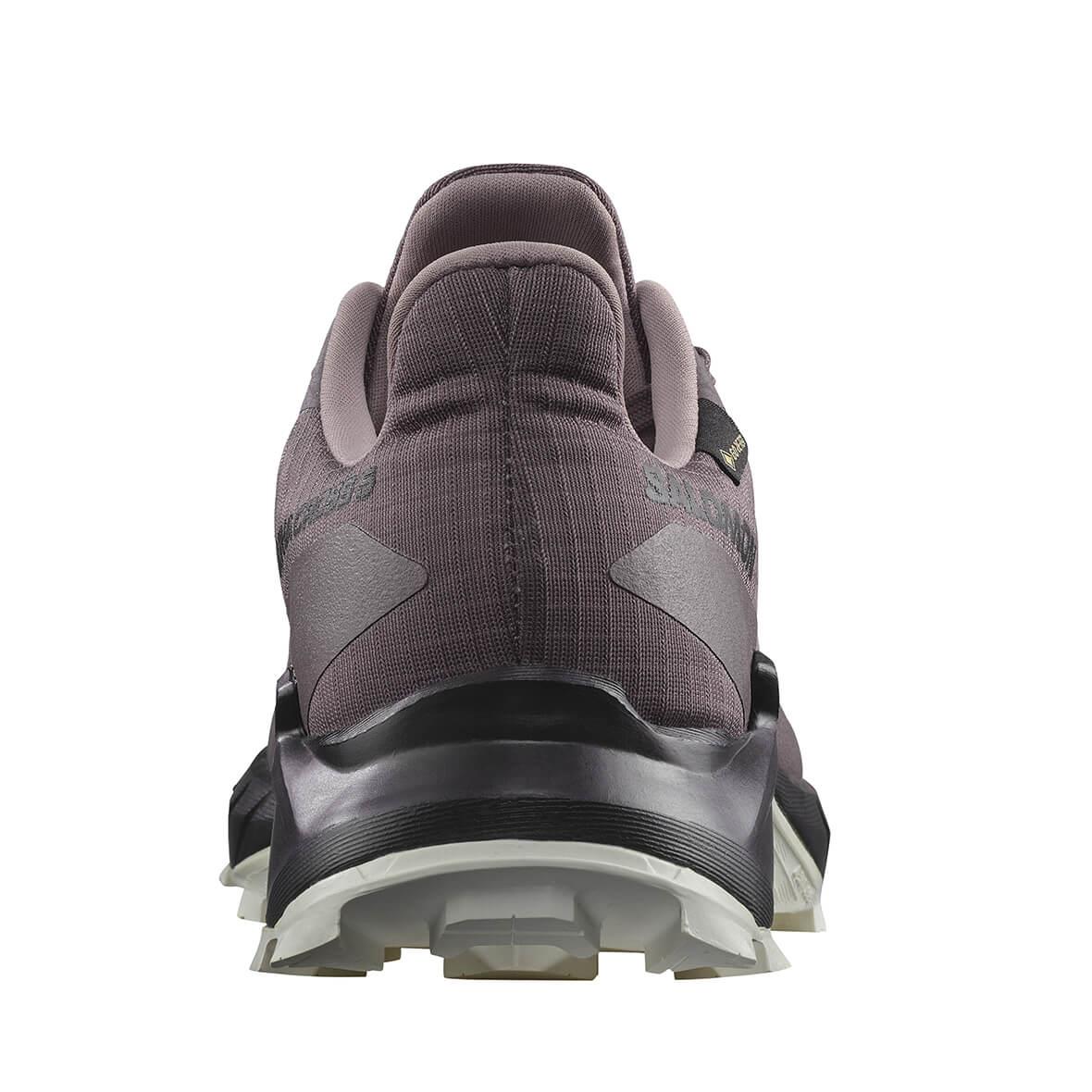 Salomon Alphacross 5 GTX W Kadın Koşu Ayakkabısı - Mürdüm