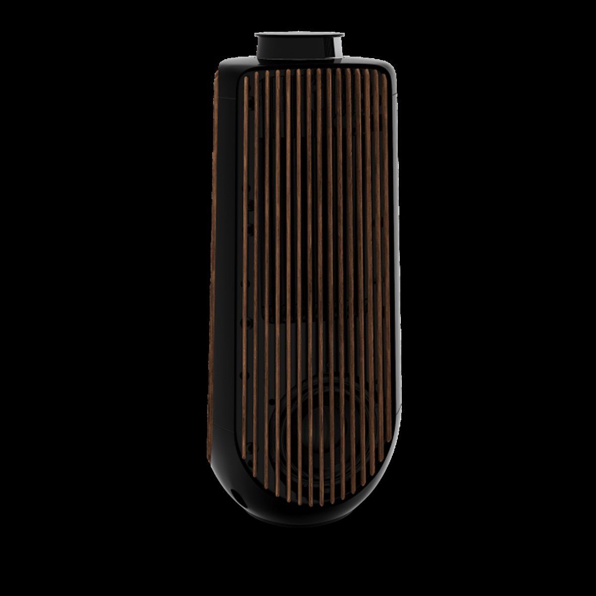 Bang & Olufsen BeoLab 50 Piano Black Hi-Fi Hoparlör