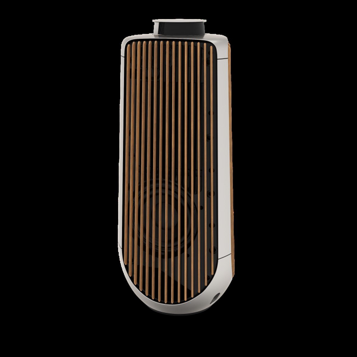 Bang & Olufsen BeoLab 50 Silver Hi-Fi Hoparlör