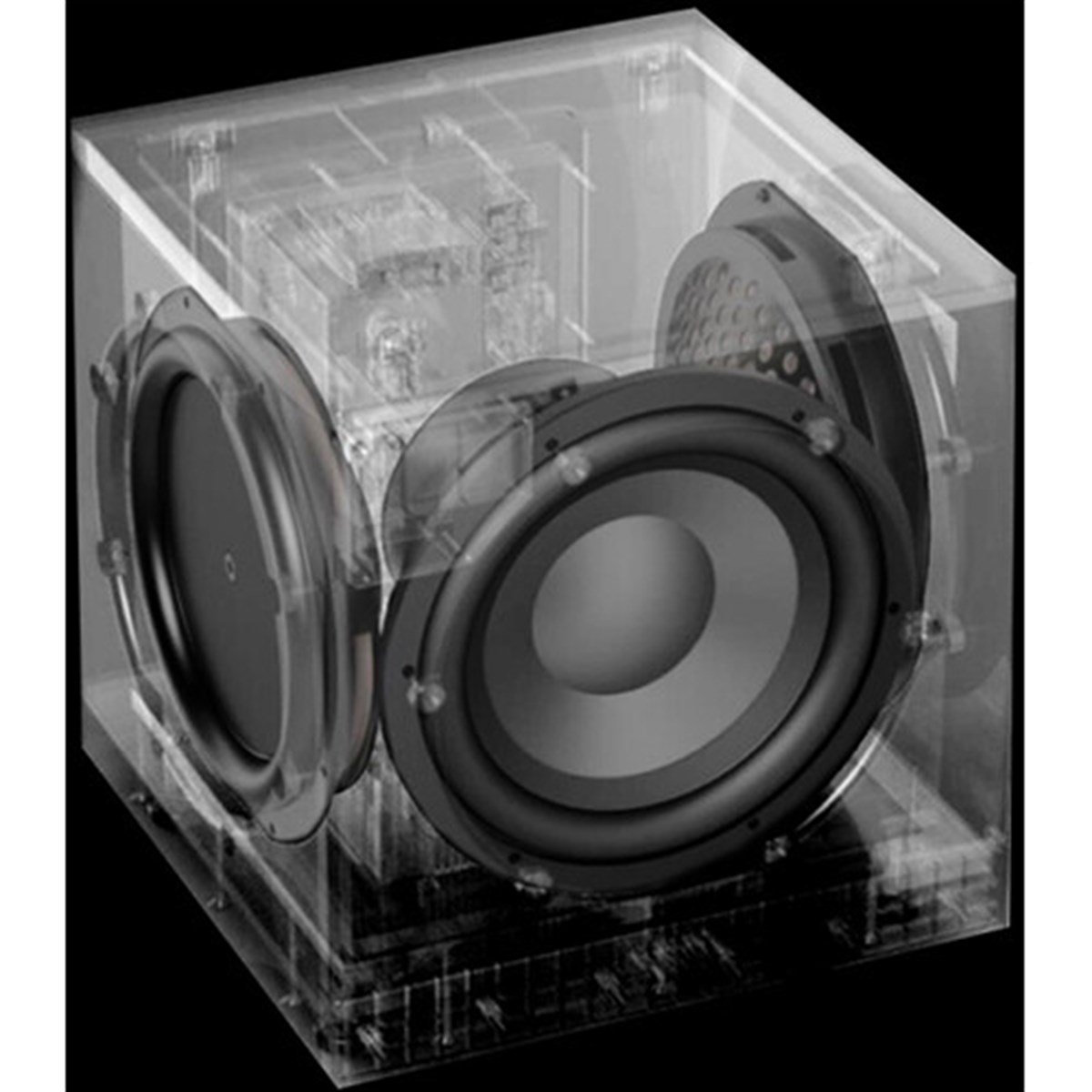 Definitive Technology Descend DN12 Subwoofer Siyah