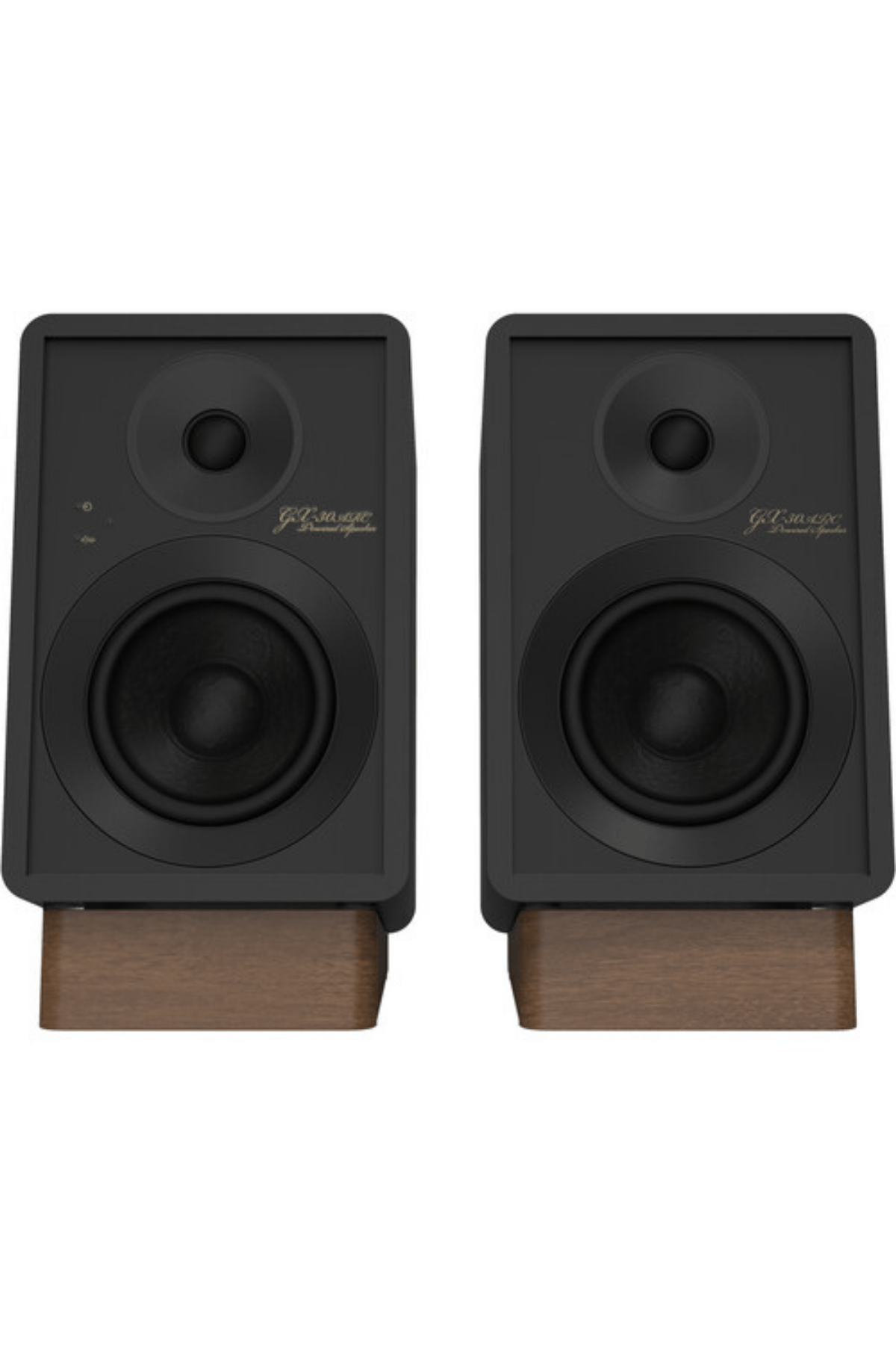 Onkyo GX-30ARC Bluetooth Aktif Hoparlör Siyah