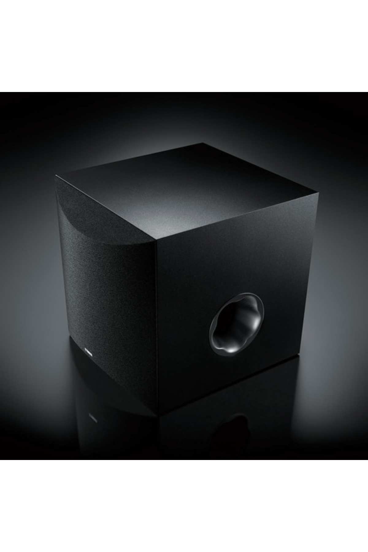 Yamaha NS-SW100 10