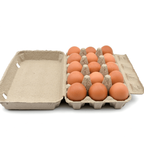 Organic Eggs 15 pcs