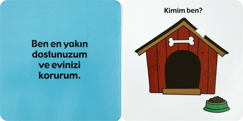 Hayvanlar
