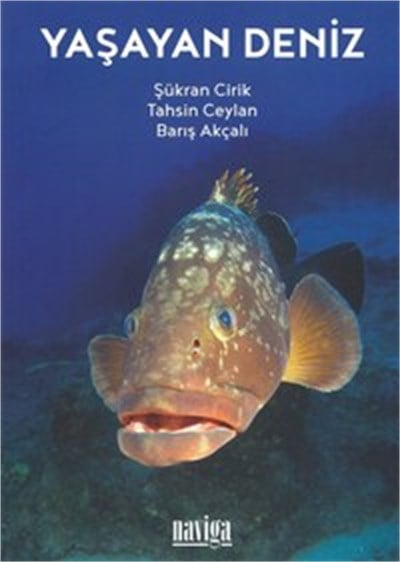 Yaşayan Deniz