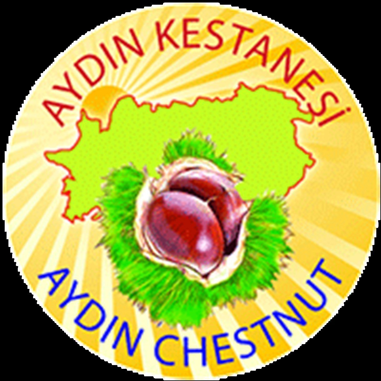 Kestane Unu 250 Gr