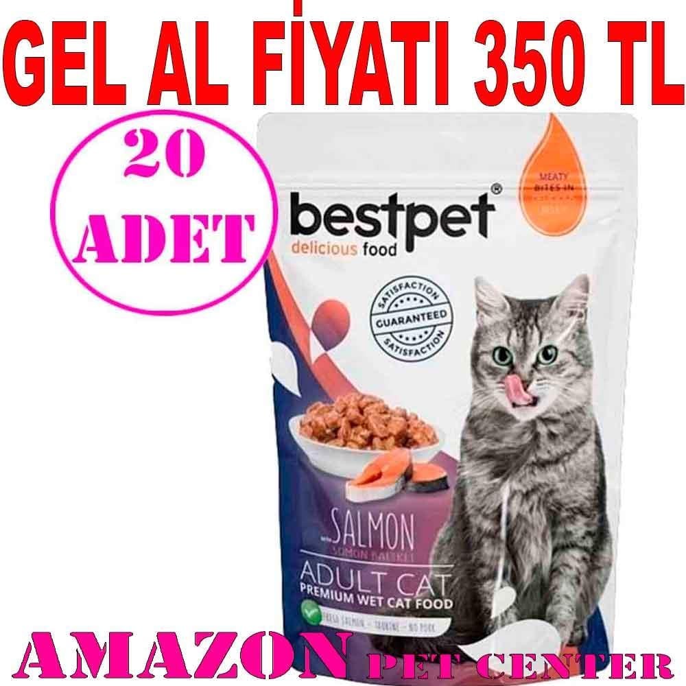 BestPet Adult Jelly Pouch Somonlu Kedi Maması 85 Gr 20 AD 18070002 Amazon Pet Center