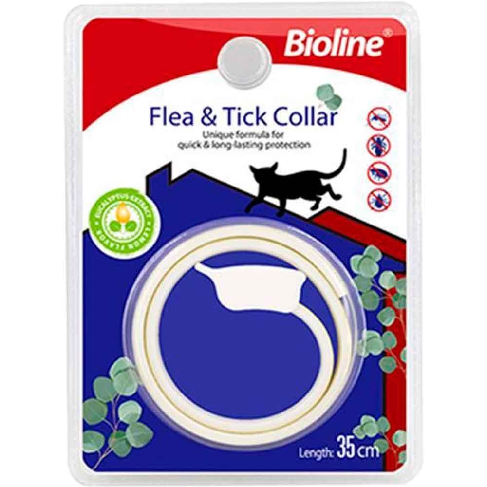 Bioline Kedi Pire Tasması Okaliptus ve Limon Kokulu 35cm 6970117124460 Amazon Pet Center