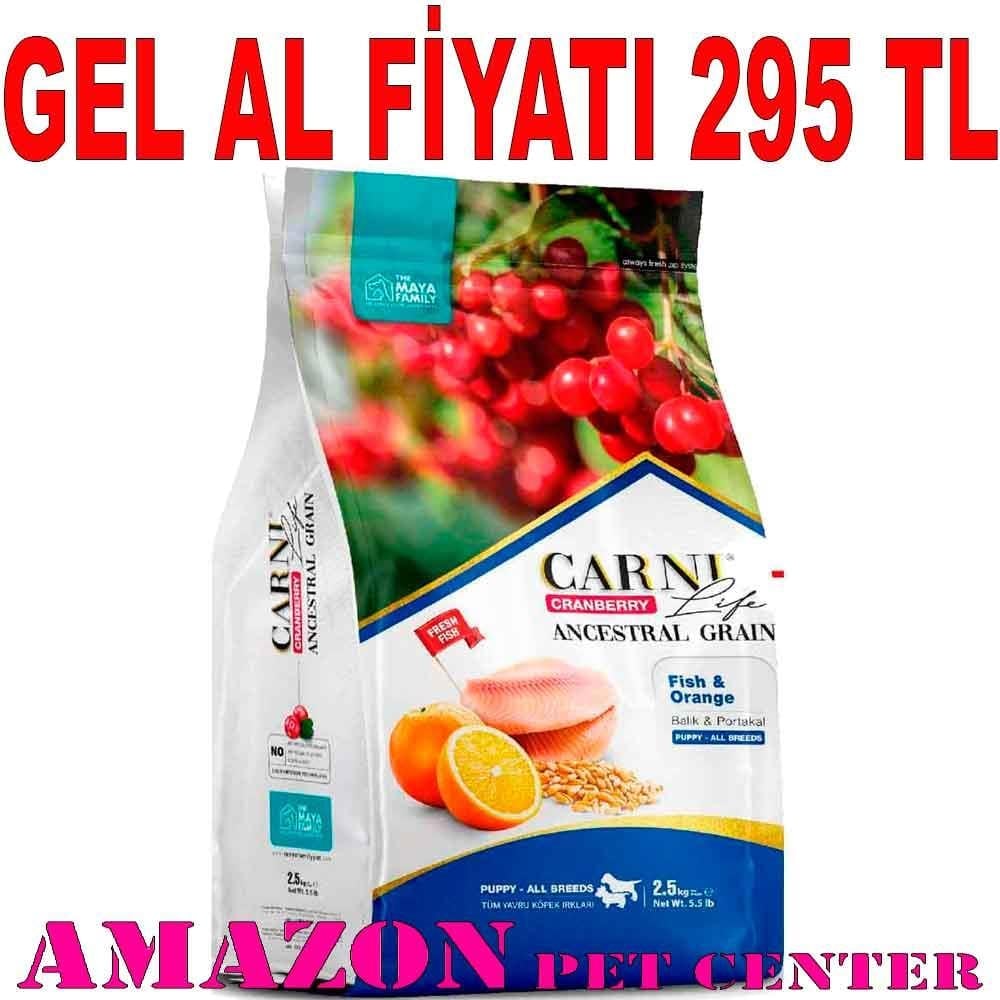 Carni Life Köpek Maması Puppy 2.5 Kg Kızılcık Balık Portakal 8683347070770 Amazon Pet Center