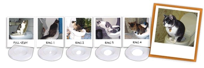 Citi Kitty Kedi Tuvalet Eğitim Seti Klozet Alıştırma Aparatı