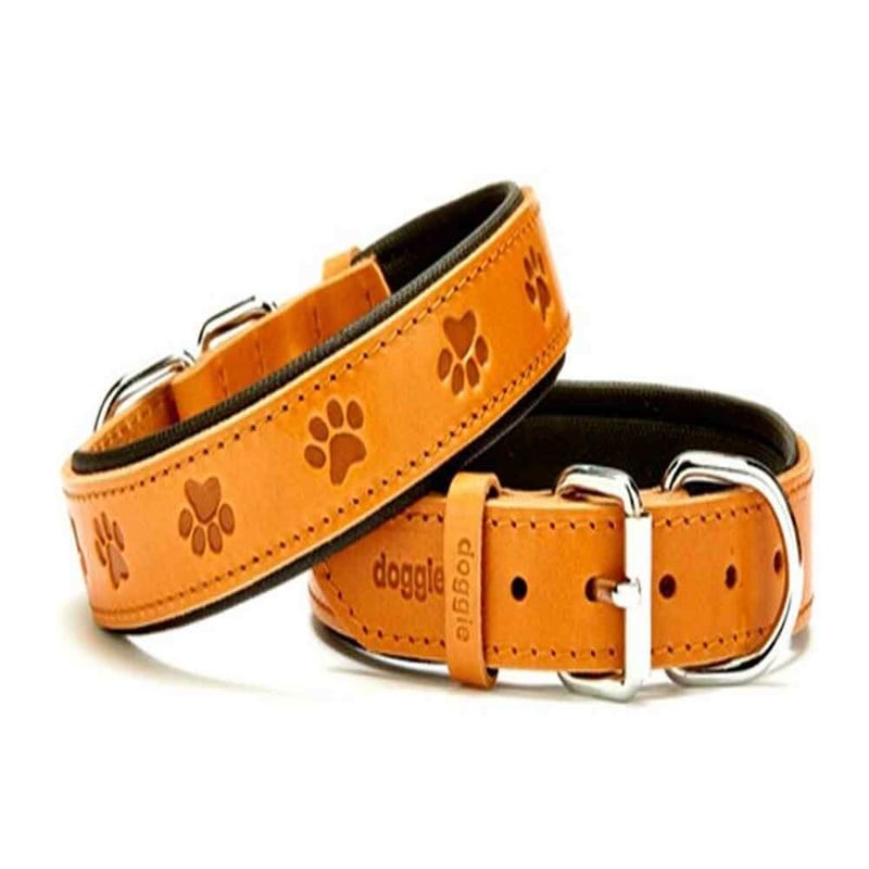 Doggie Comfort Pati Desenli Deri Boyun Tasması 4064 Kamel 8680782102868 Doggie Köpek Boyun Tasmaları Amazon Pet Center