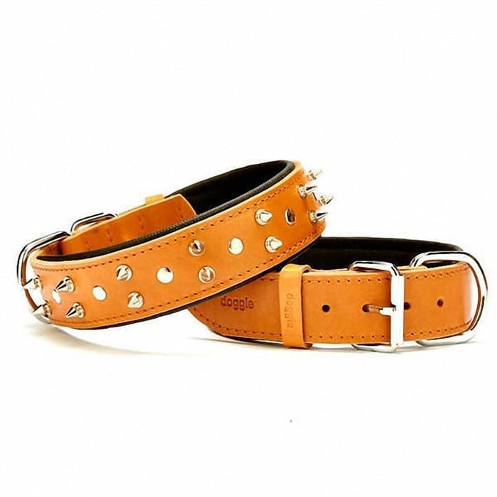 Doggie Yumuşak Dokulu Çivili Köpek Boyun Tasması Camel SBT-4012