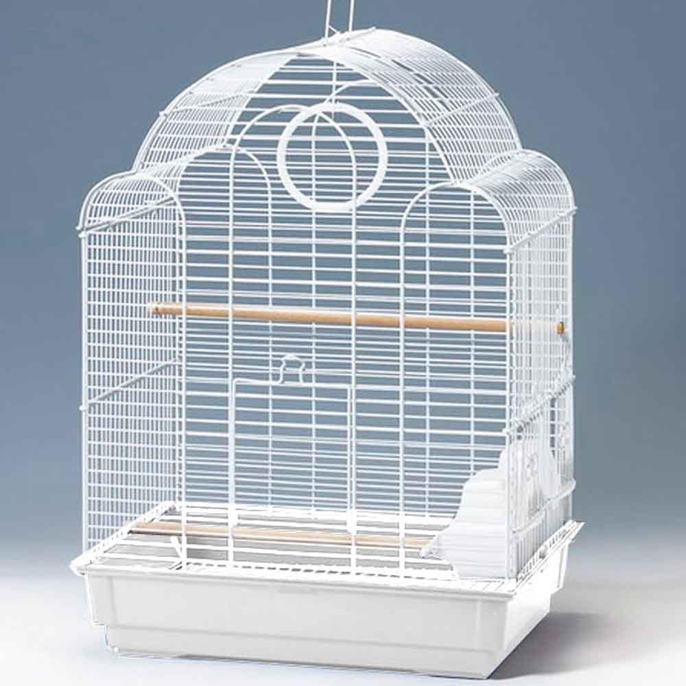 Euro Gold Paraket Kafesi Oval Çatılı Beyaz 32111910 Amazon Pet Center