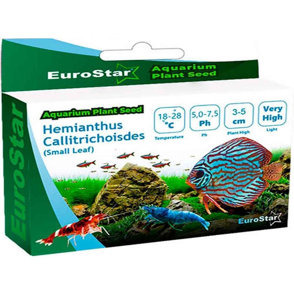 Eurostar Bitki Tohumu Hemianthus Callitrichoides 8681144115021 Amazon Pet Center