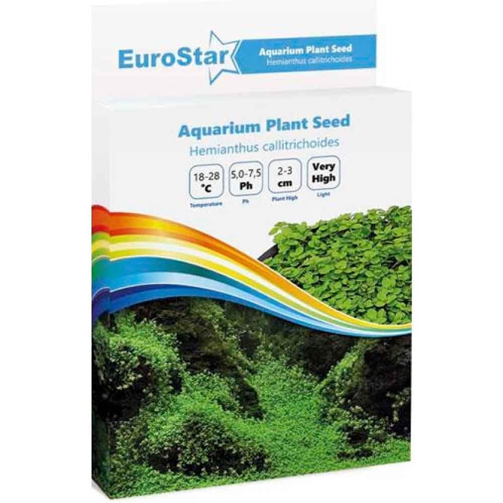 Eurostar Bitki Tohumu Hemianthus Callitrichoides 8681144115021 Amazon Pet Center