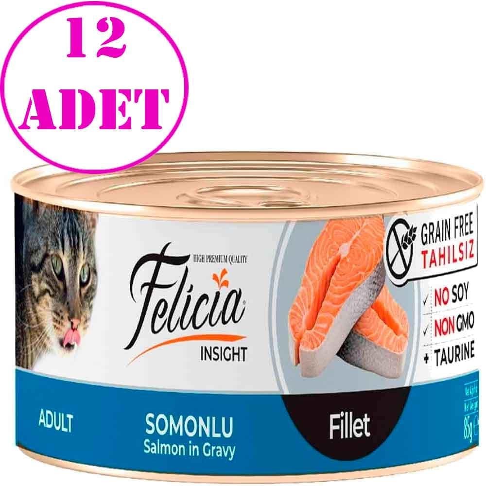 Felicia Tahılsız Somon Filetolu Yaş Kedi Maması 85 Gr 12 AD 20390006 Amazon Pet Center
