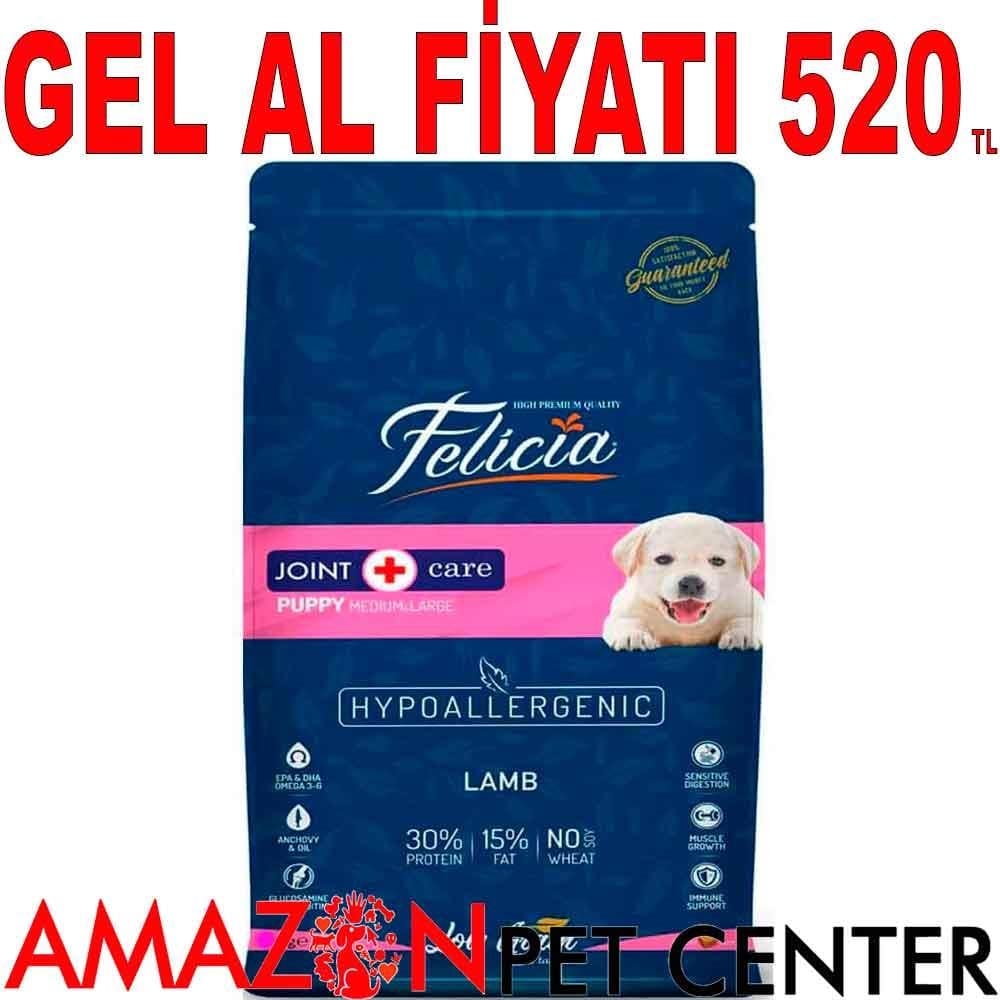 Felicia Yavru Köpek Maması Kuzulu M/L 3 Kg 18271003 Amazon Pet Center