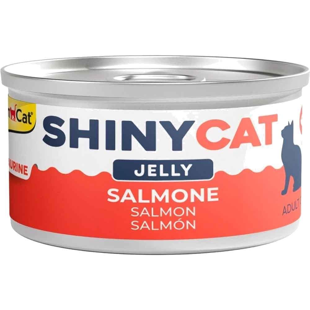 Gimcat Shinycat Kedi Konservesi Jöleli Somon Balıklı 70 Gr 4002064416748 Amazon Pet Center