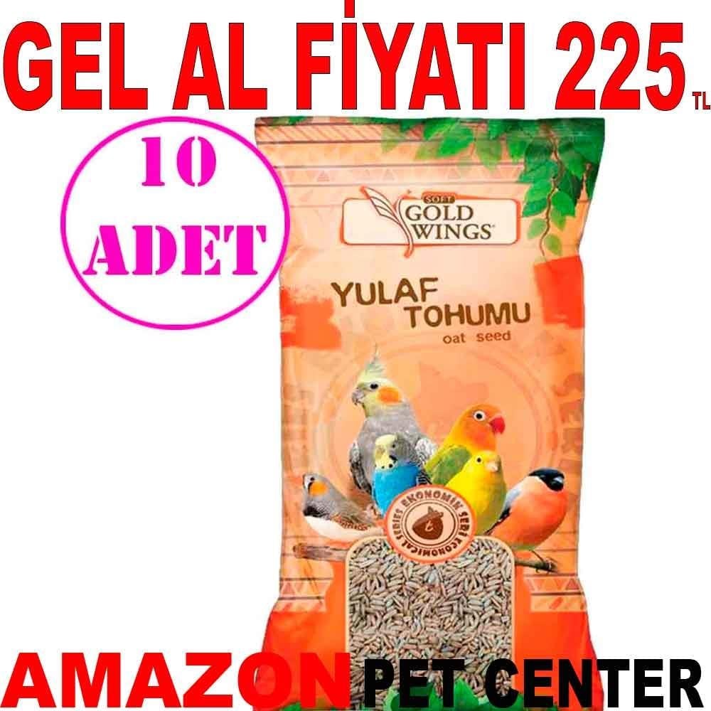 Gold Wings Yulaf 300 Gr 10 AD 22492005 Amazon Pet Center