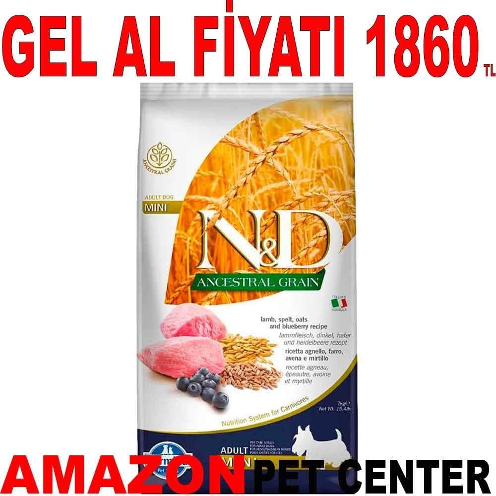ND Natural Düşük Tahıllı Küçük Irk Köpek Maması Kuzu Etli Yaban Mersinli 7 Kg 18754001 Amazon Pet Center