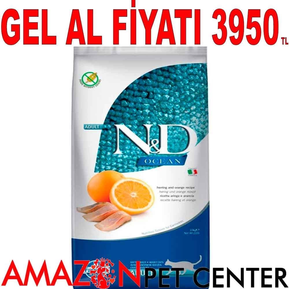 ND Ocean Ringa Balıklı ve Portakallı Tahılsız Yetişkin Kedi Maması 10 kg 18655001 Amazon Pet Center