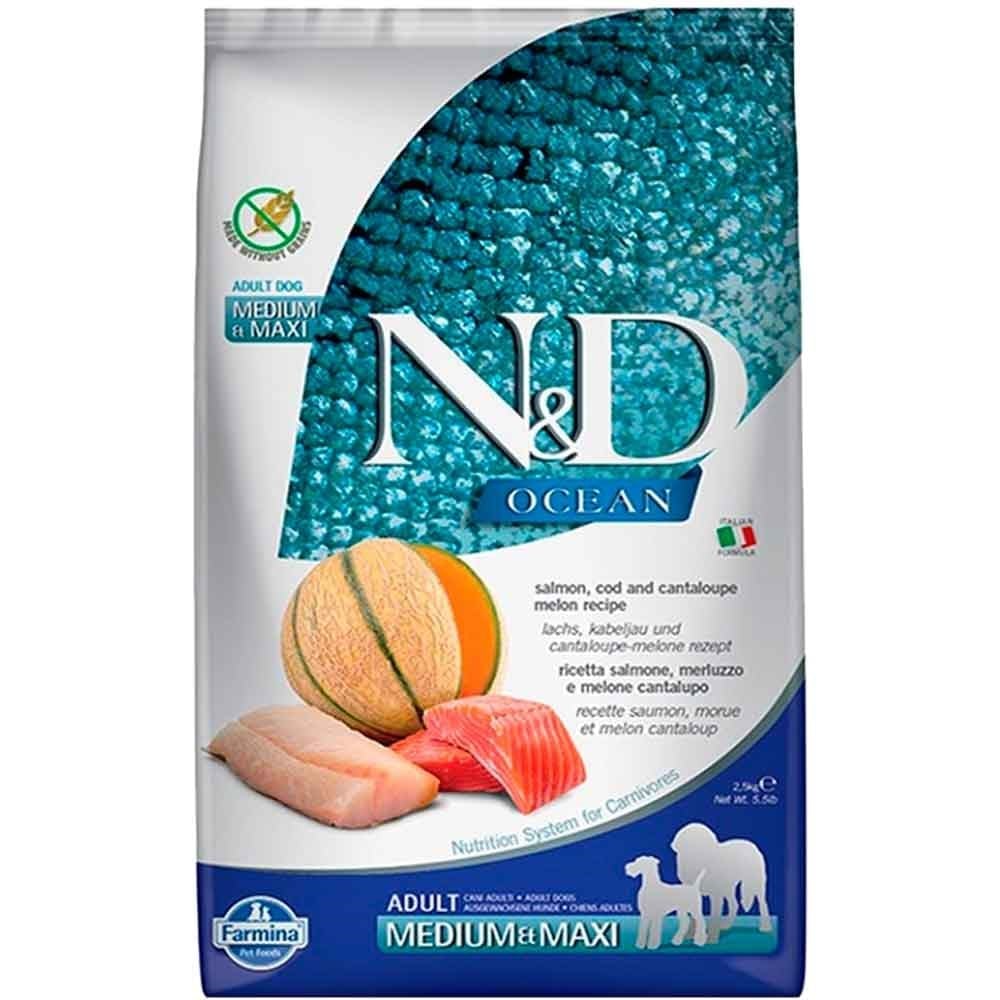 ND Ocean Somon Morina Balıklı Kavunlu Büyük ve Orta Irk Yetişkin Köpek Maması 2,5 Kg 8010276039316 Amazon Pet Center