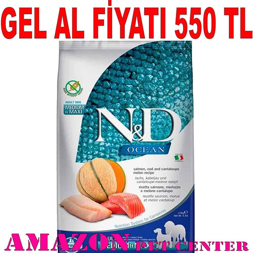 ND Ocean Somon Morina Balıklı Kavunlu Büyük ve Orta Irk Yetişkin Köpek Maması 2,5 Kg 8010276039316 Amazon Pet Center