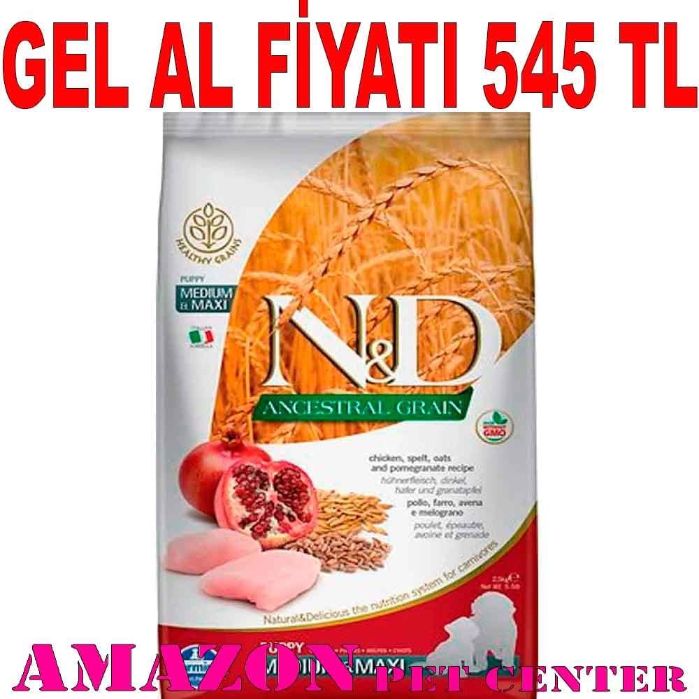 ND Tavuklu ve Narlı Orta ve Büyük Irk Düşük Tahıllı Yavru Köpek Mamasi 2,5kg 18588002 Amazon Pet Center
