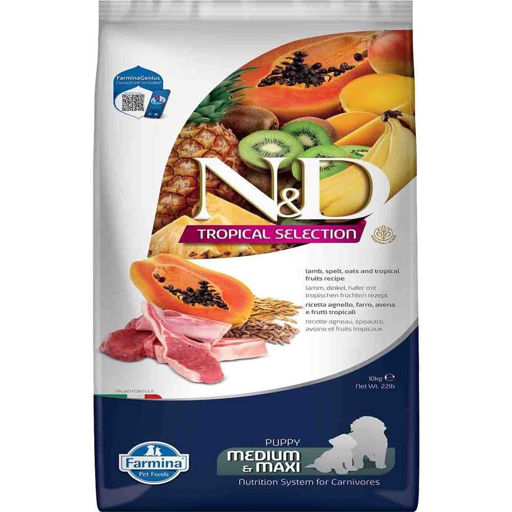 ND Tropical Meyveli Kuzu Etli Orta ve Büyük Irk Yavru Köpek Maması 10 Kg 8010276042422 Amazon Pet Center