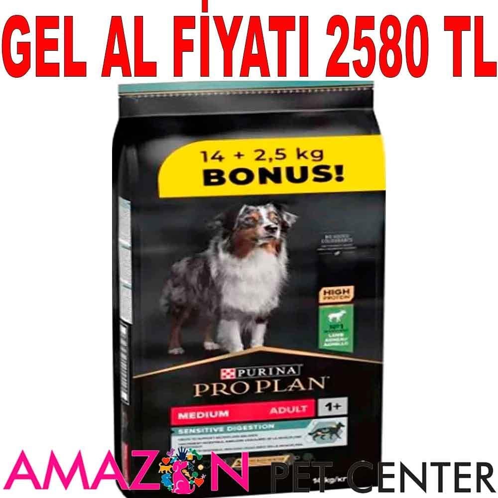 ProPlan Kuzu Etli Orta Irk Yetişkin Köpek Maması 14 Kg + 2,5 Kg Hediye 18685008 Amazon Pet Center
