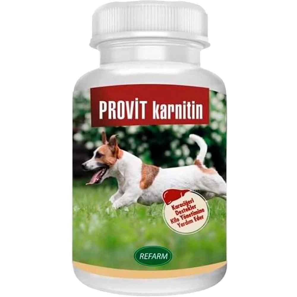 Provit Karnitin Köpek Karaciğer Destekleyici Toz 100 Gr 8680361060350 Amazon Pet Center