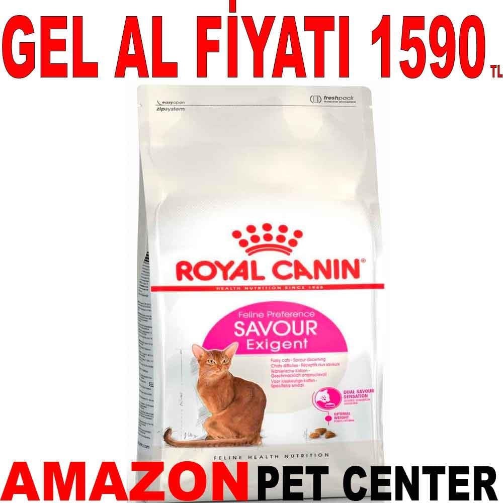 Royal Canin Exigent Kedi Maması 4 Kg 18368000 Amazon Pet Center