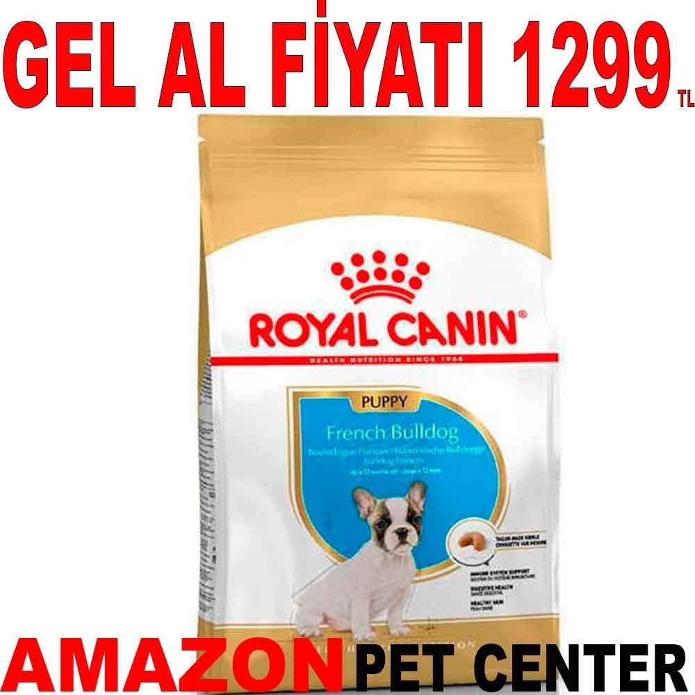 Royal Canin Junior French Bulldog Yavru Köpek Maması 3 Kg 18329001 Amazon Pet Center