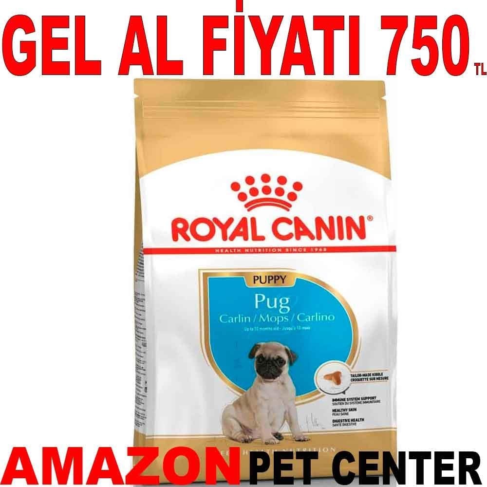 Royal Canin Pug Junior Yavru Köpek Maması 1.5 KG 18336009 Amazon Pet Center