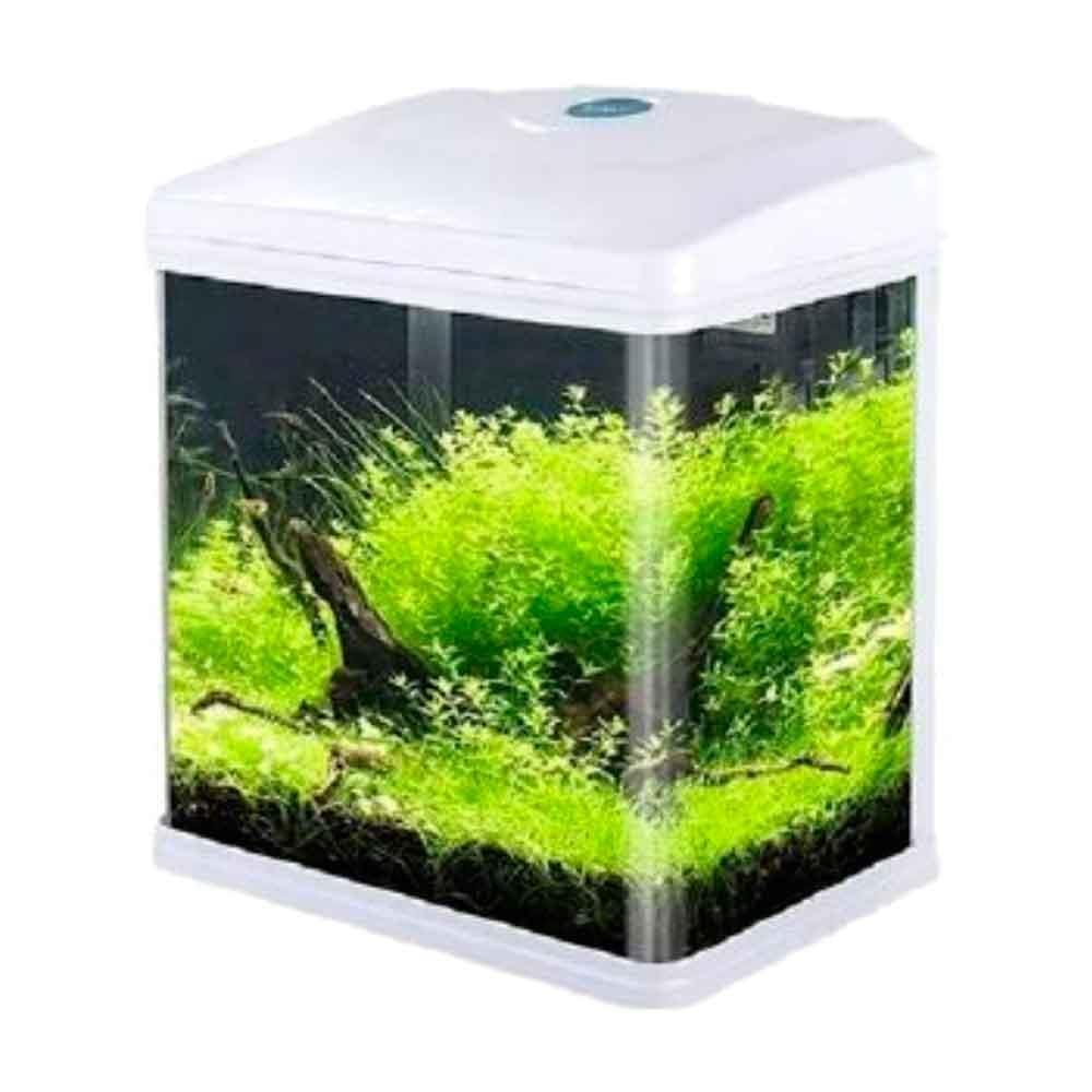 Sobo Sistemli Komple Akvaryum 24 Cm Beyaz 20538002 Amazon Pet Center