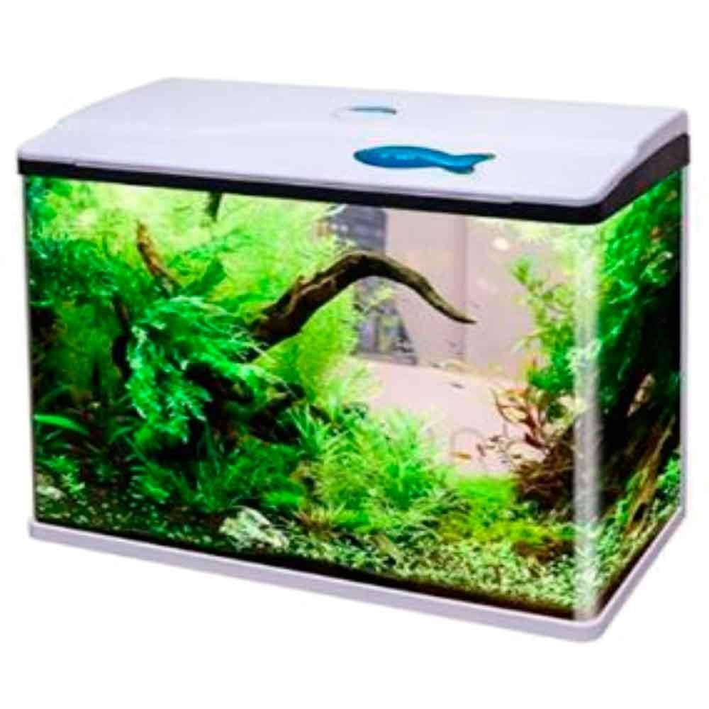 Sobo Sistemli Komple Akvaryum 48.5 Cm Beyaz 20541002 Amazon Pet Center