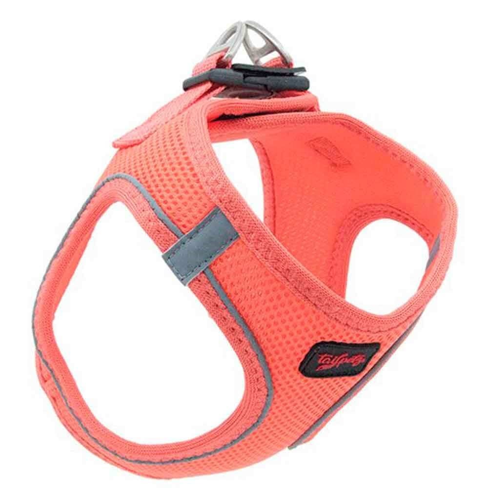 Tailpetz Air Mesh Köpek Göğüs Tasması Salmon M 8698929731642 Tailpetz Köpek Göğüs Tasmaları Amazon Pet Center